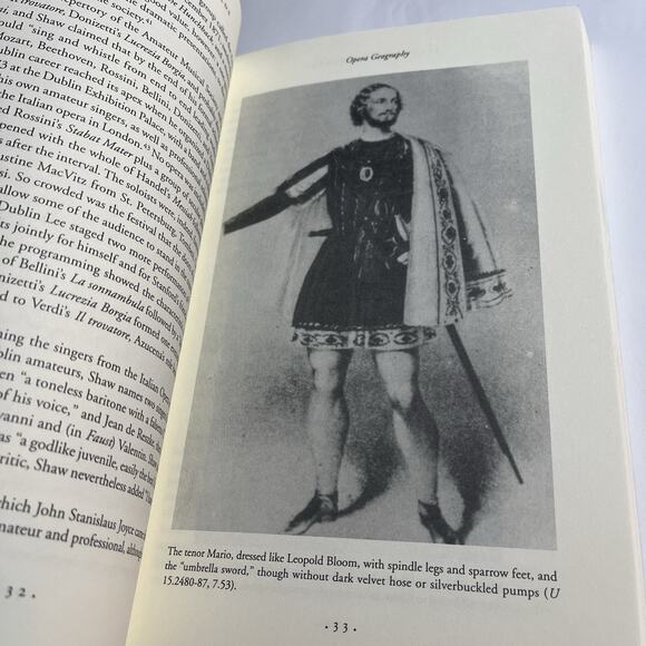 Joyce's Grand Operoar Opera In Finnegan's Wake Paperback Book Matthew Hodgart - Picture 8 of 9